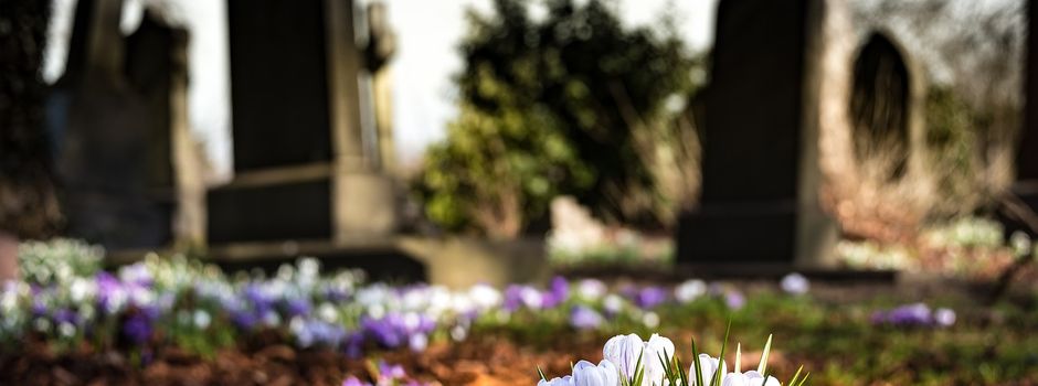 Friedhofsangelegenheiten I