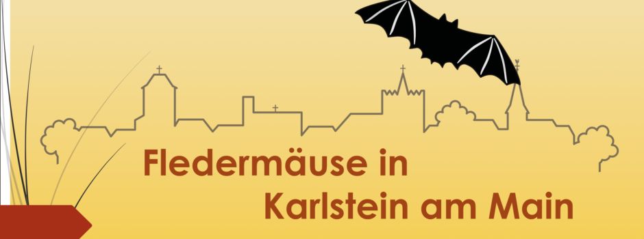 Vortrag: Fledermäuse in Karlstein