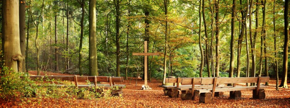 Führung durch den Ruhewald Nottensdorf