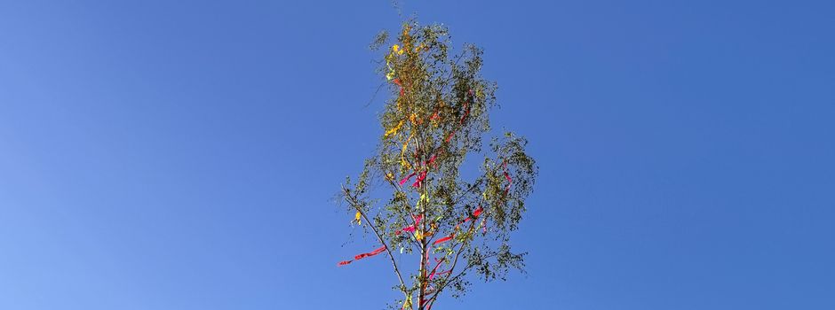 Dorfjugend stellt traditionellen Maibaum