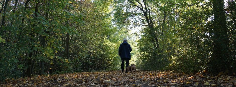 Mann wehrt sich mit Messer gegen freilaufenden Hund
