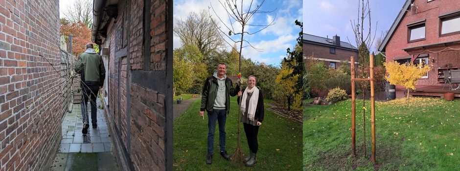 Unsere Samtgemeinde wird grüner