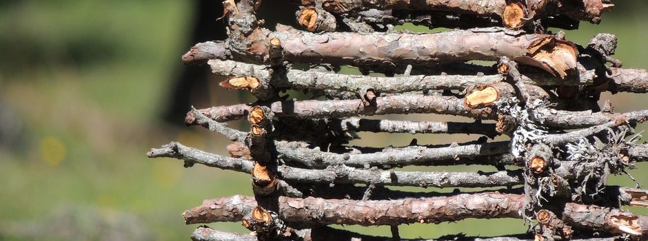 Termin für Holz- und Grünschnittannahme Osterfeuer