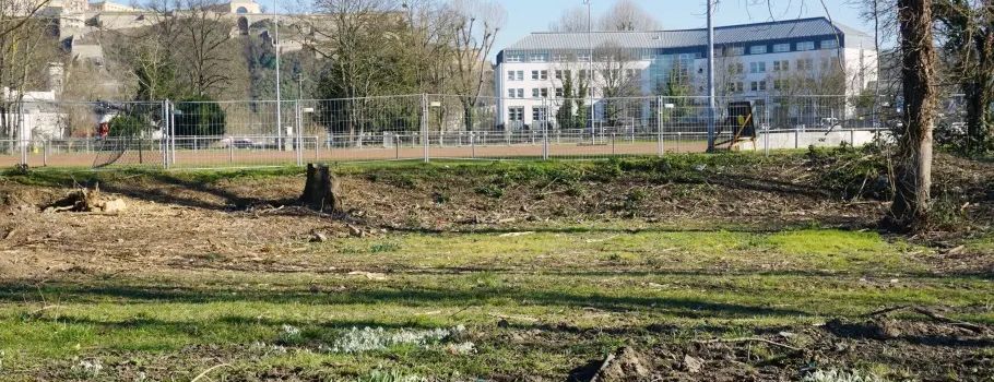 Neuer Koblenzer Uferpark nimmt Gestalt an: Das ist geplant
