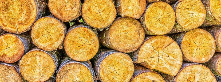 Jahreshauptversammlung der WBV Illschwang-Birgland