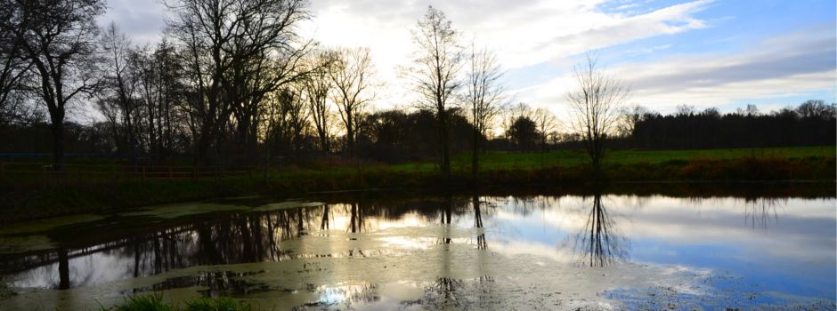 Mühlenstiftung fördert Wassermühle Deelbrügge