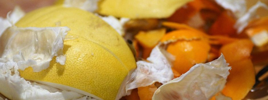 Führungen im Kompostwerk starten wieder