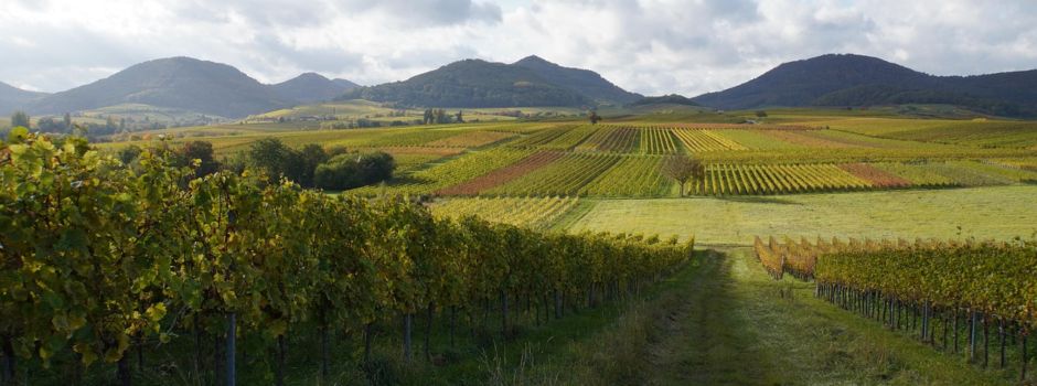 Förderverein Dörrenbach