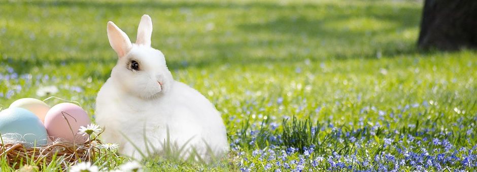 Frohe Ostern