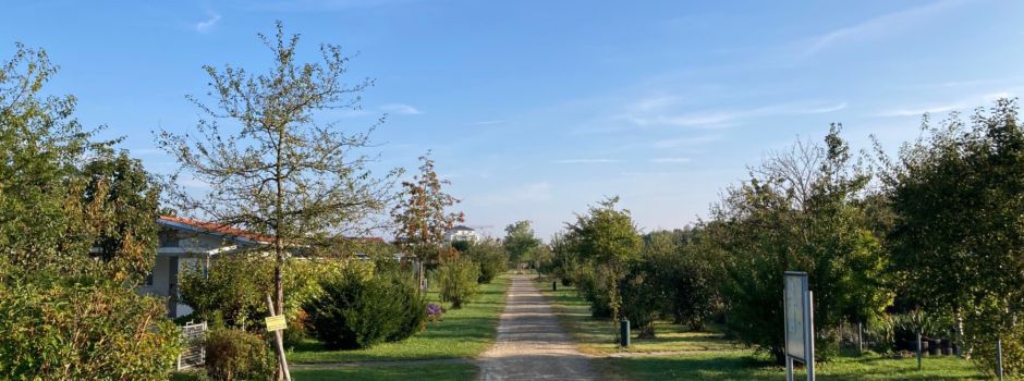 Gartenarbeit mit Erholung: Schrebergärten in Augsburg
