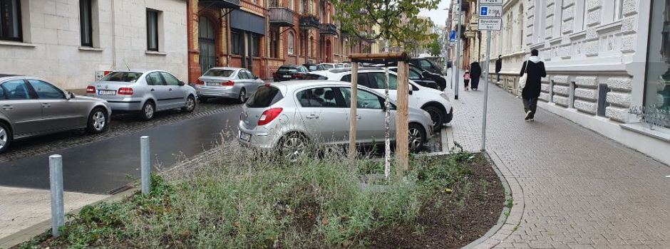 Nach zwei Jahren Umbau: Yorckstraße in Wiesbaden fertig gestellt