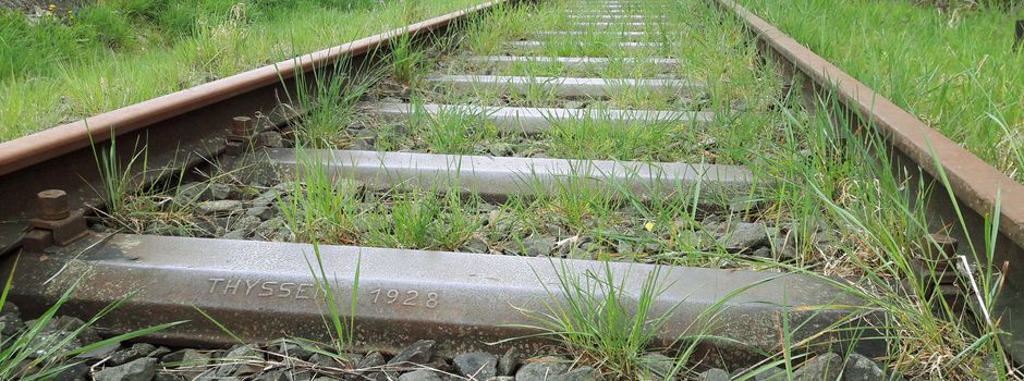 In 30 Minuten von Bad Schwalbach nach Wiesbaden: Die Aartalbahn kommt zurück