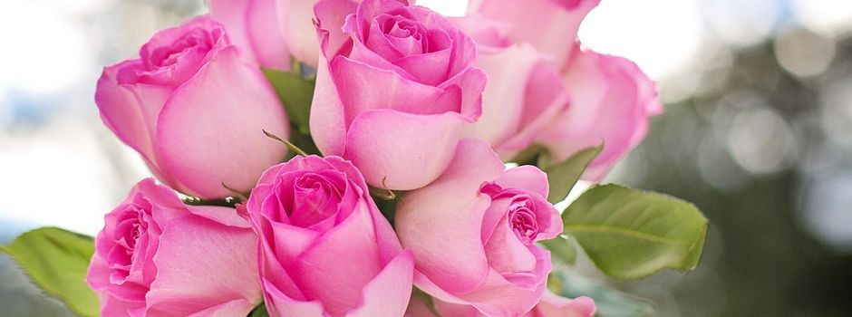 »Fairbruary«: Schenk doch mal FAIR-Rosen