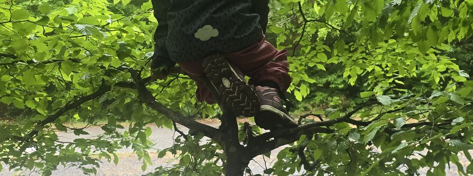 In der Natur