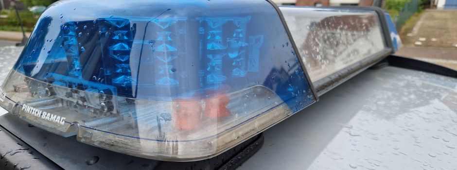 In Bispingen gegen Ampel geprallt