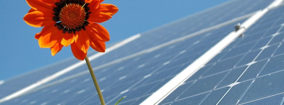 Erneuerbare Energien in Leisel