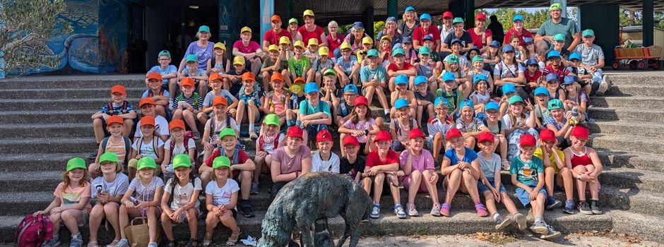 Tigerbabys und Lunchpakete im Münsteraner Allwetterzoo