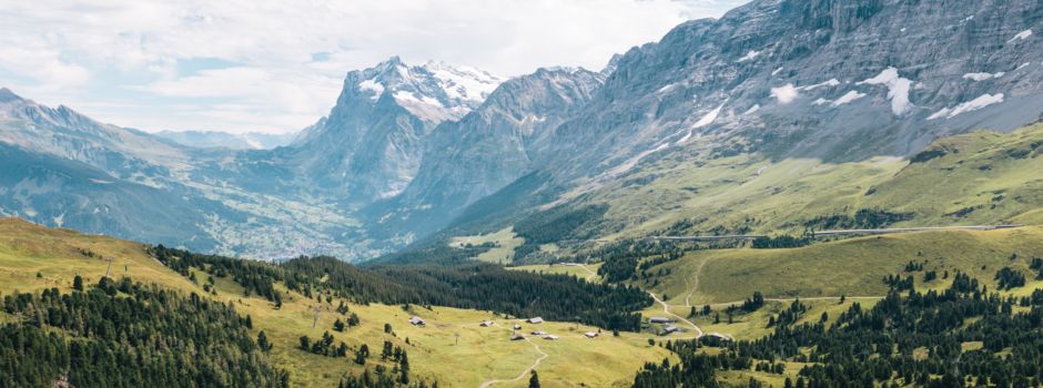 Diese fünf Vereine in Augsburg solltet ihr unbedingt auschecken