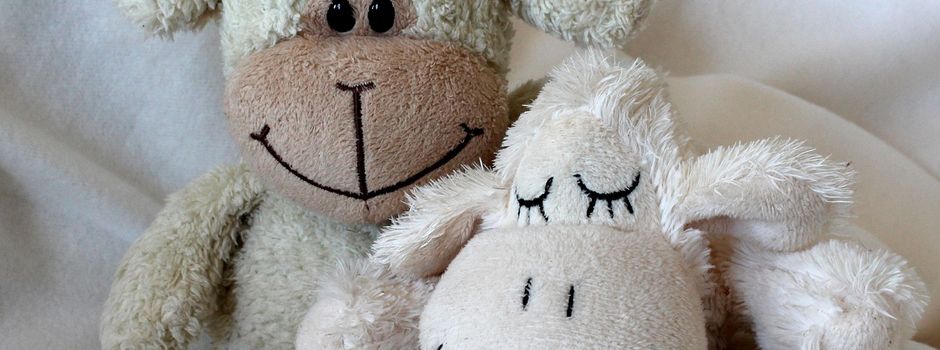 Übernachtungsparty für Kuscheltiere in der Stadtbücherei