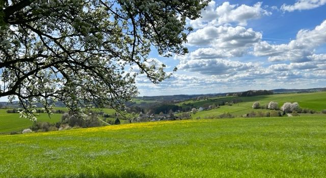 Der neue Veranstaltungskalender ist da!