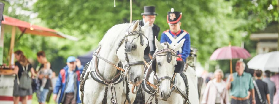 Augusta-Fest lockt mit vielfältigem Programm in Koblenzer Rheinanlagen