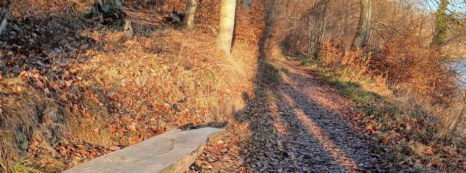 Neue Bank auf dem Rundweg um den Pinnower See