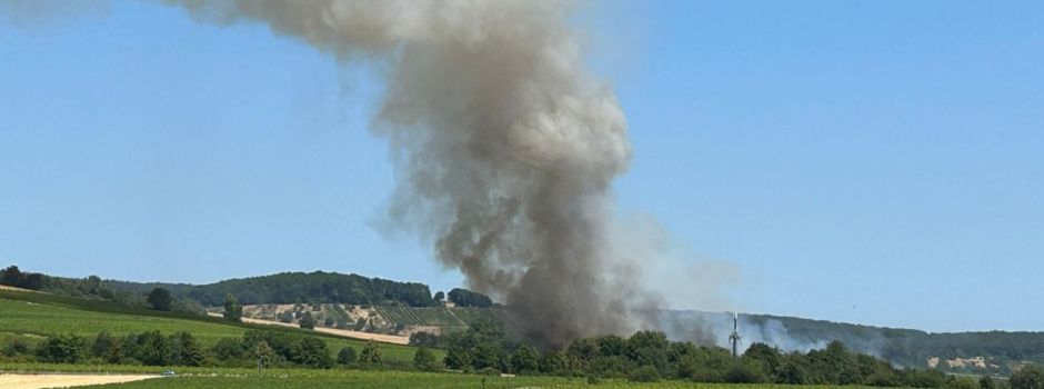 Großer Flächenbrand bei Walluf