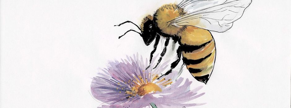 Comedykrimi auf dem Theaterschiff Kiel - "Ladykillers" 