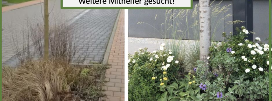 -Dank an alle Baumpaten in Ochtendung-