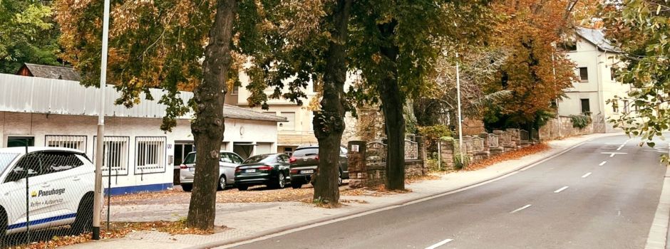 Hier sollen neue Sozialwohnungen in Alzey entstehen