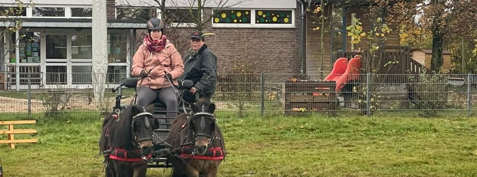 Dressurtraining der Kutschen-Freunde für das Fahrabzeichen