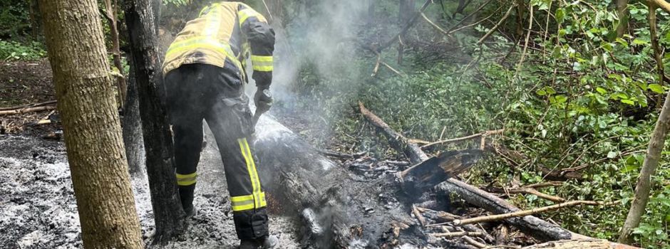 Blitzschlag entfacht Schwelbrand im Wormser Wäldchen