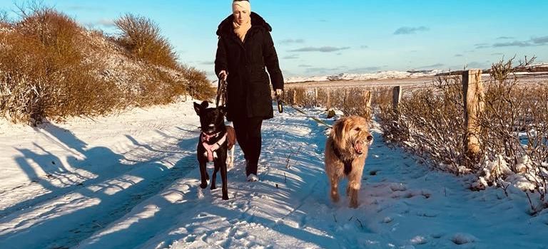 Erinnerung: Schneeräumpflicht!