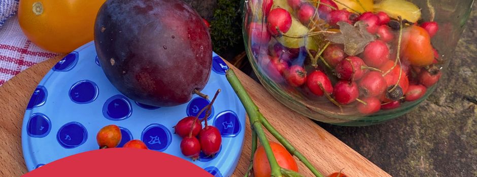Workshop in der Naturpark-Region Saar-Hunsrück: „Fermentation von Gemüse und Co.“ in Gisingen