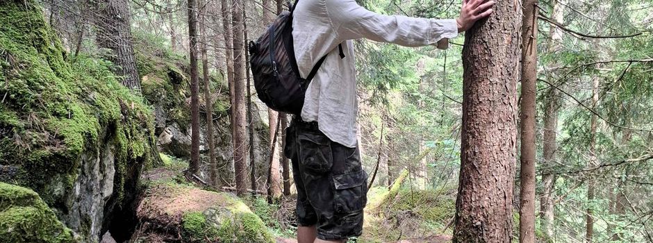 Waldbaden im Möllner Stadtwald – neue Kursangebote ab Juni