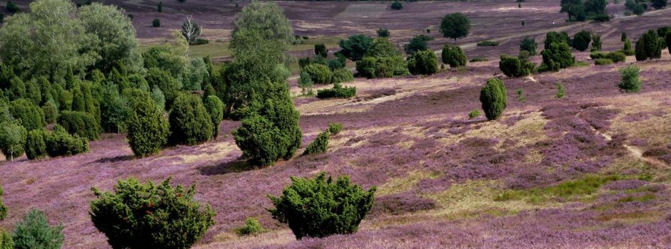 Seniorenausfahrt 2025