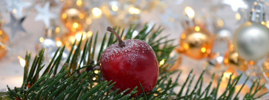 Frohe Weihnachten 🎄 