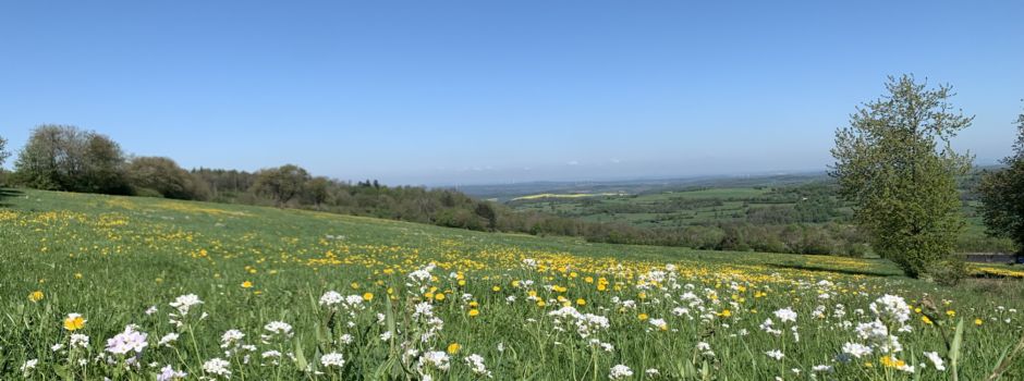 Geführte Wanderungen zum Wildfrauhaus
