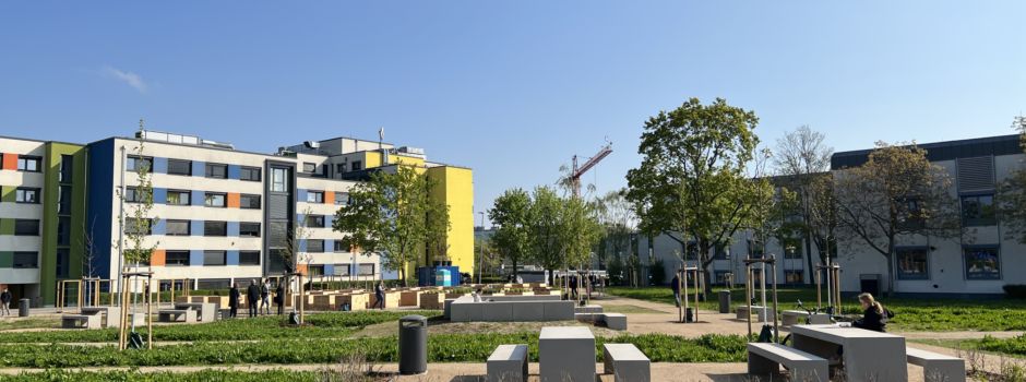 Neue Grünanlage auf dem Universitätsgelände