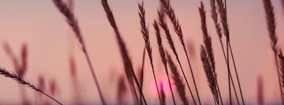 Feuerwehr-Sommernachtsfest in Krondorf