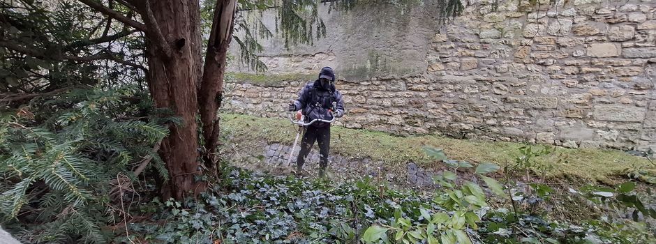 Gewässerpflege Tränkgasse