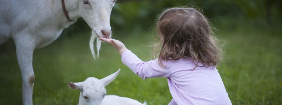 Tierstreicheln & Puppenspieltage – 5 Events für Kinder im Oktober