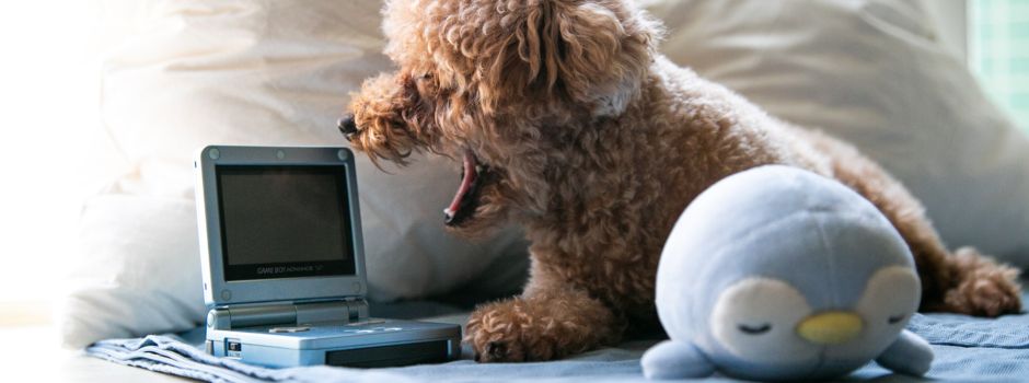 Woran du merkst, dass du ein Kind der 90er Jahre bist – Teil 2