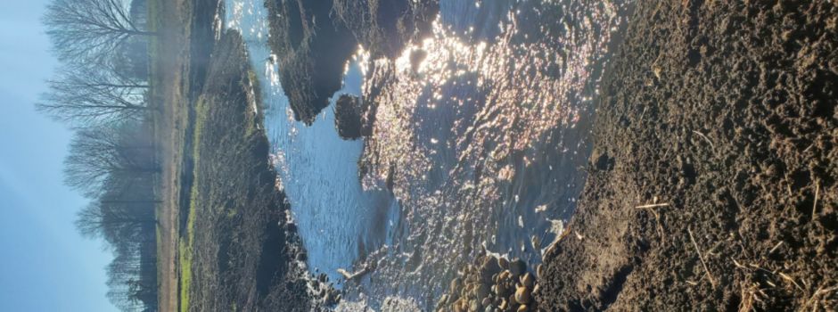 Renaturierung der Warnow vollendet