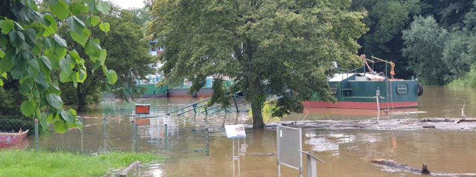 Hochwasser in Niederkassel: So sieht es aktuell an Rhein und Sieg aus