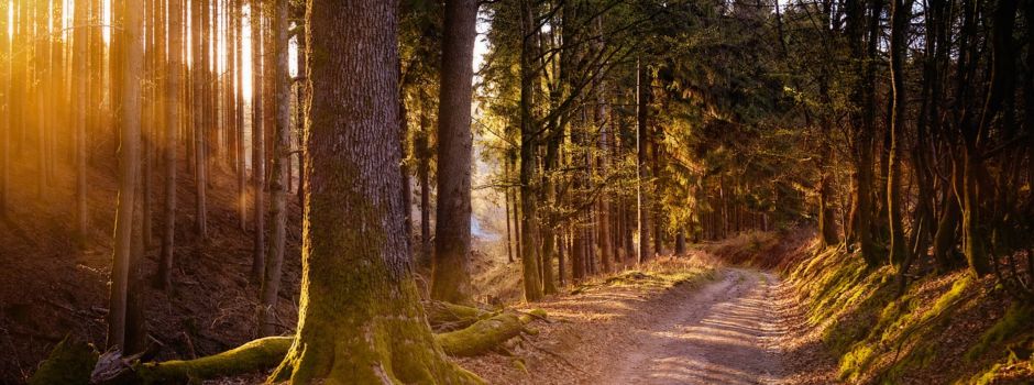 Wanderweg: Die Suche nach dem Namen