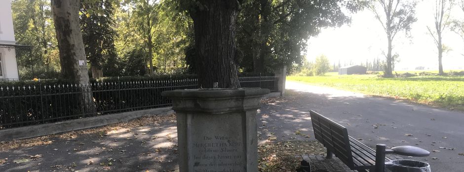Vandalismus sprengt Budget der Stadt