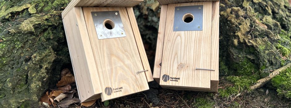 Ein Zuhause für Vögel schaffen - Jetzt mitmachen für die ganze Familie