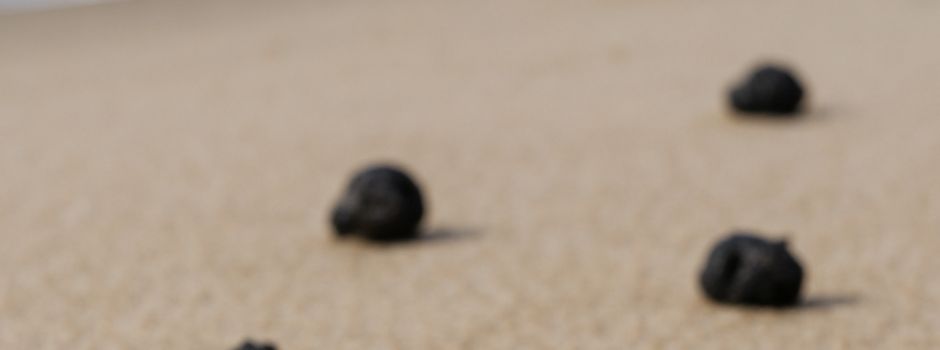 Angespülte Teer-Klümpchen auf Sylt und Föhr
