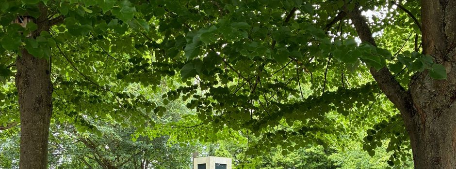 Neue Urnenstele auf dem Friedhof in Bischheim